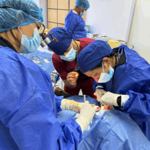 all-on-x-product-image-resized